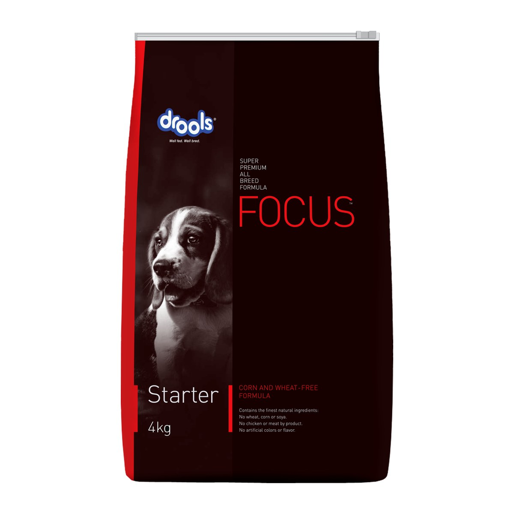 Focus- מזון יבש סופר פרימיום סטרטר עופות וביצים