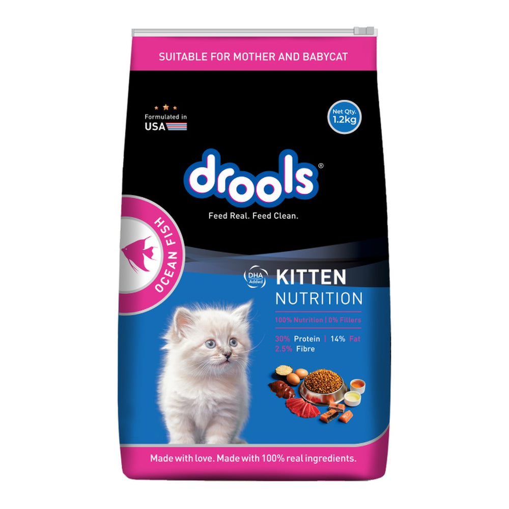Drools- מזון יבש לגורי חתולים דגי אוקיינוס